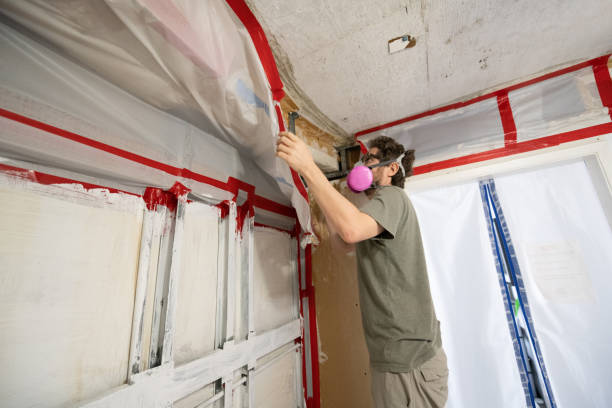 Miller, SD Mold Inspection, Removal & Remediation Company